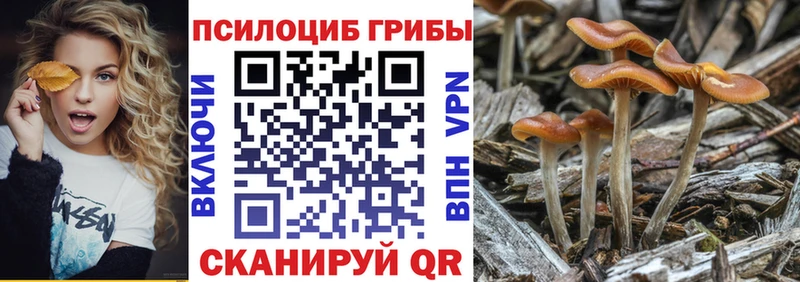 Галлюциногенные грибы Magic Shrooms  Мензелинск 